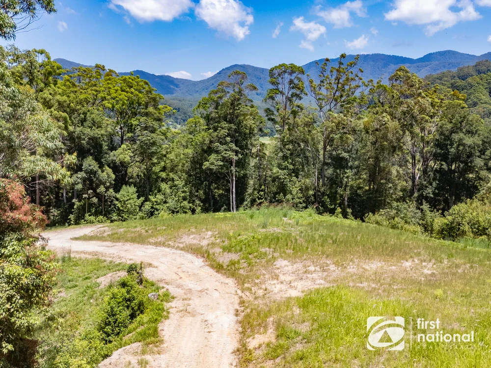 Additional image 26 of Lot 65 North Island Loop Road, Upper Orara NSW 2450