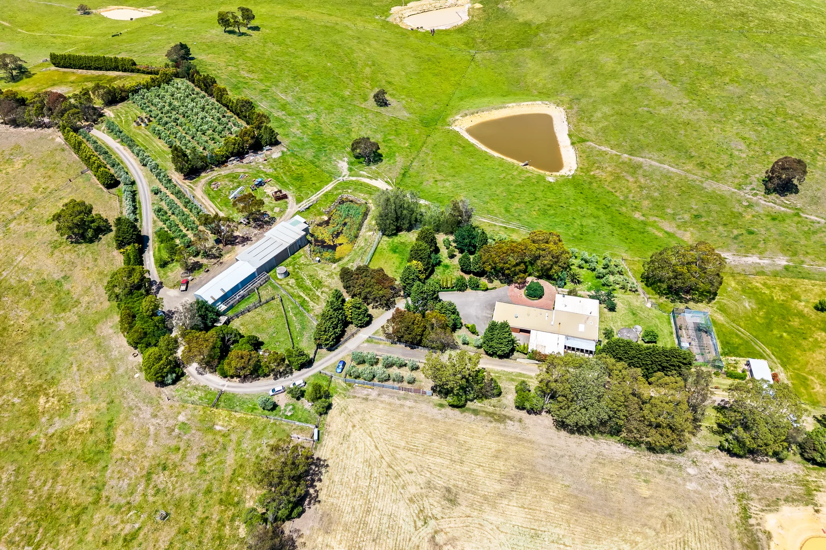 1405 Merriang Road, Beveridge VIC 3753 photo 5