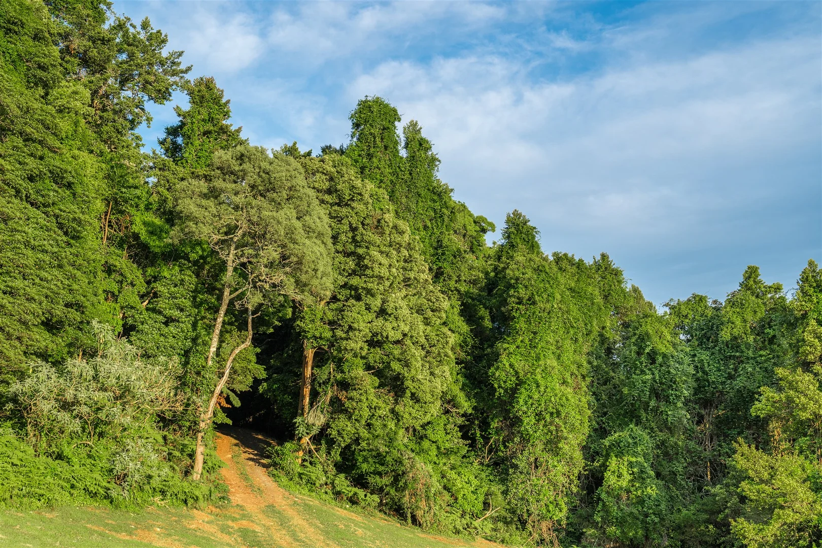 Additional image 15 of 71 Nuninuna Drive, Jamberoo NSW 2533