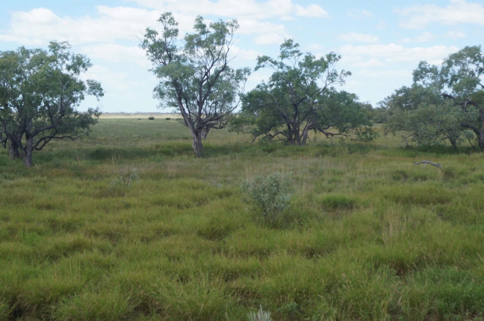 Additional image 30 of 1 Baratria Road, Longreach QLD 4730