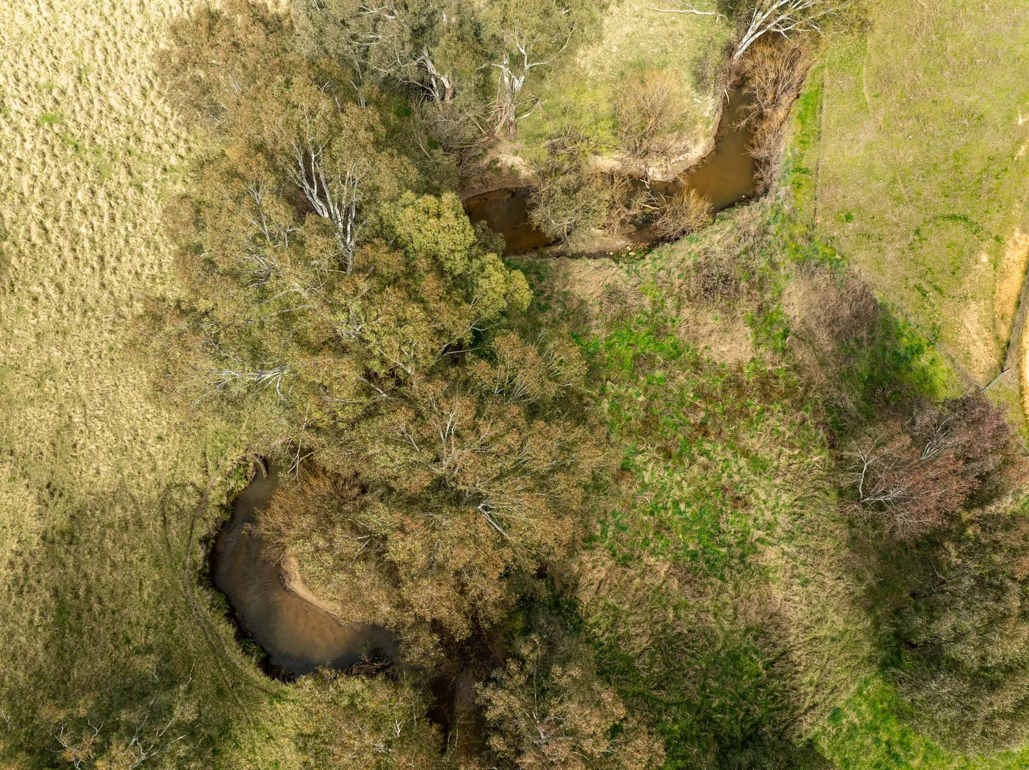 Additional image 37 of 2543 Westbrook Road, Oberne Creek NSW 2650