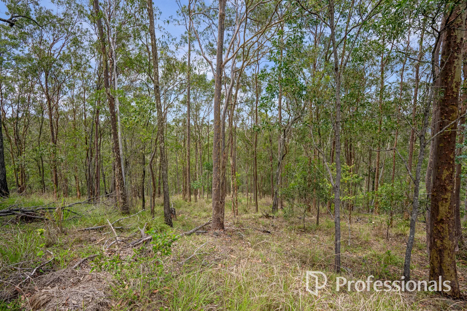 Additional image 30 of 960 Glastonbury Road, Glastonbury QLD 4570