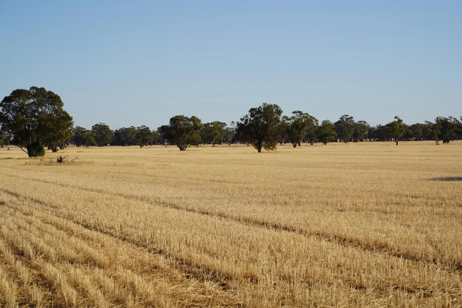 Additional image 10 of Part Woodville Blackstock Hill Road, Peak Hill NSW 2869