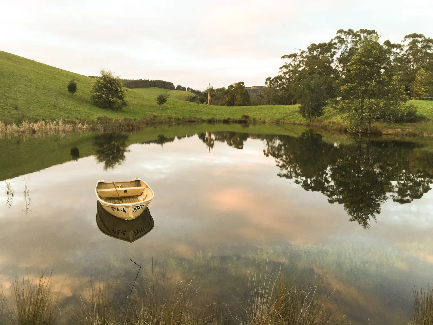 Additional image 29 of 1725 Wild Dog Valley, Strzelecki VIC 3950