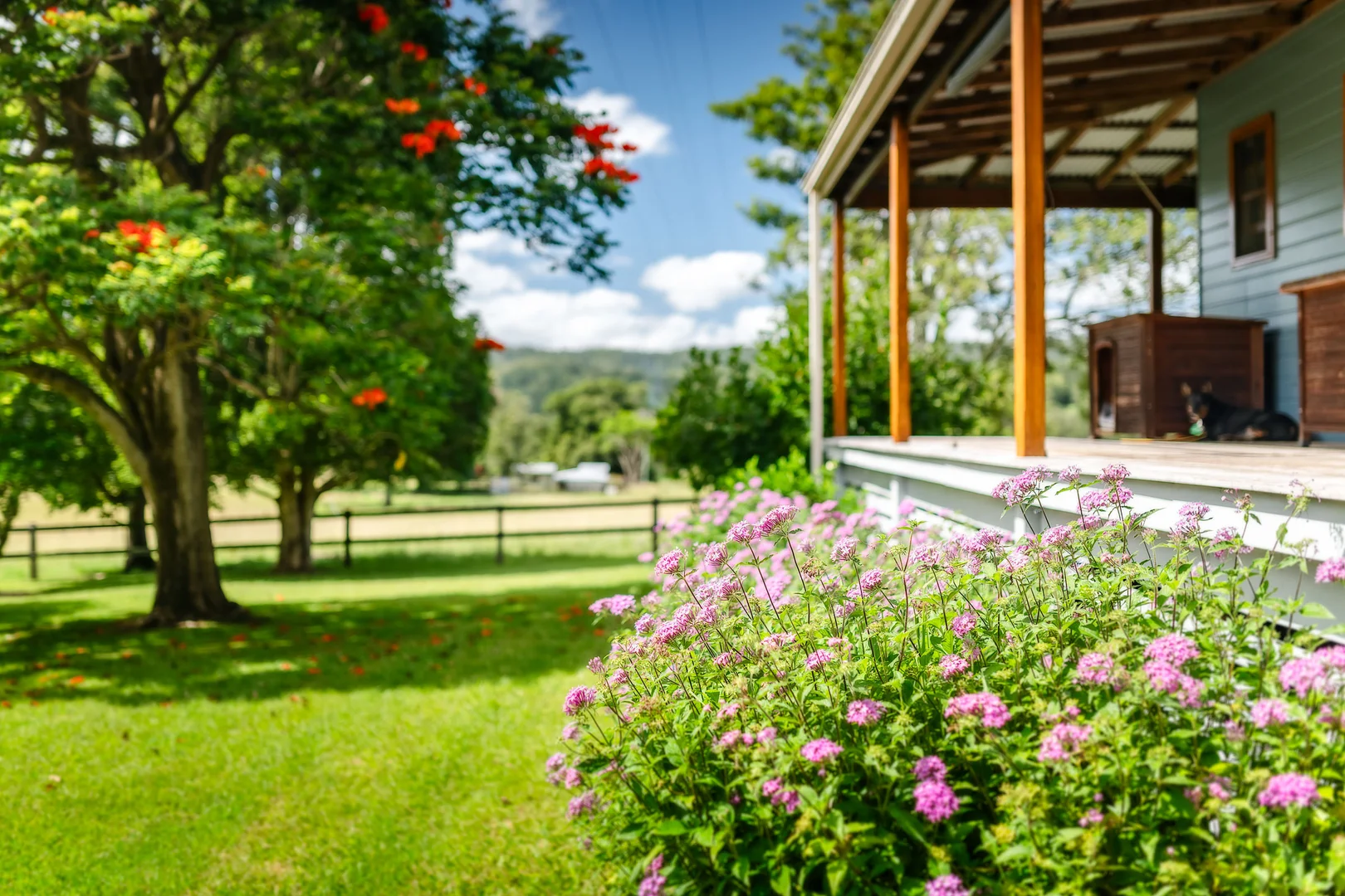 Additional image 7 of 2791 Waterfall Way, Thora NSW 2454