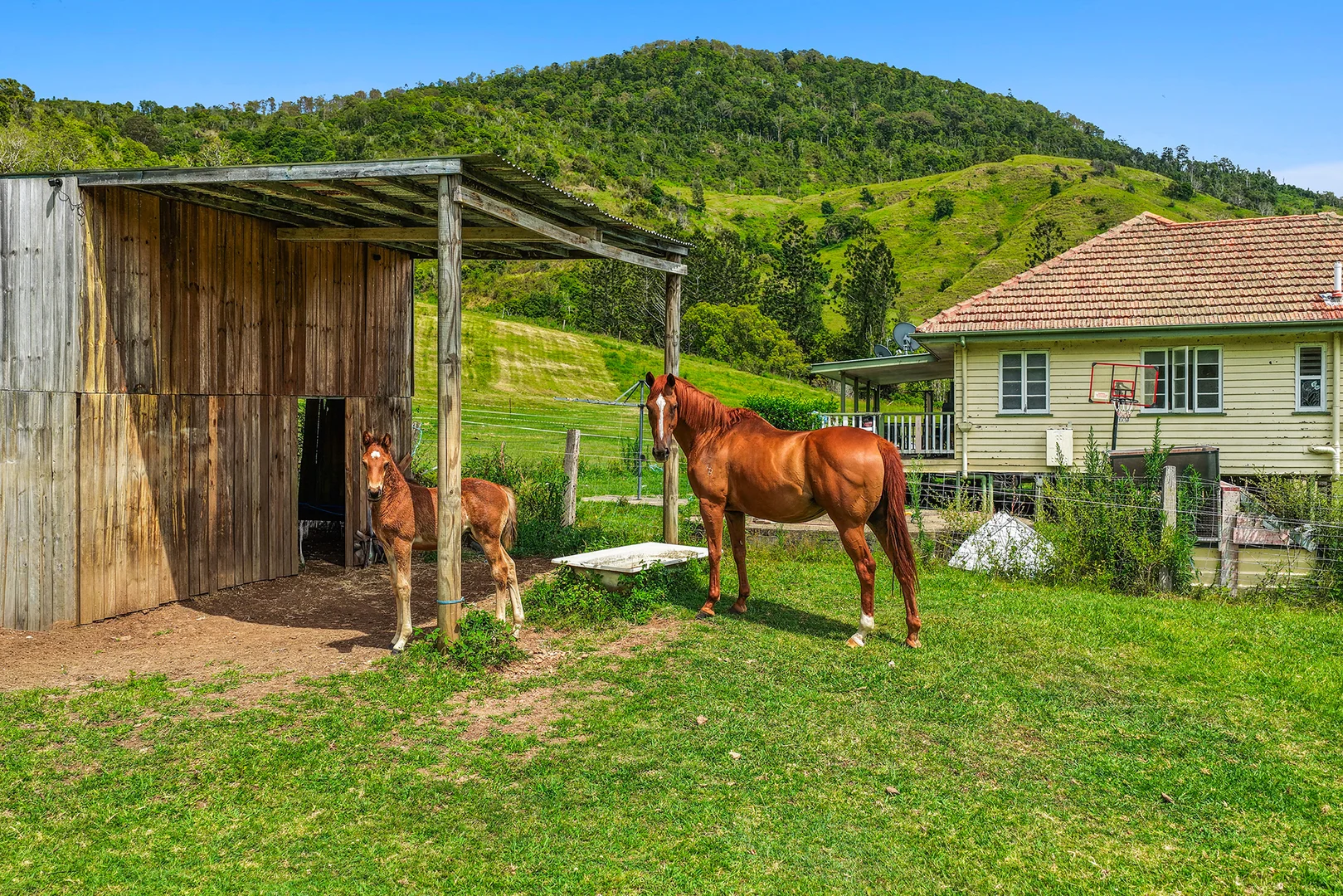 Additional image 14 of 248 Illinbah Road, Illinbah QLD 4275