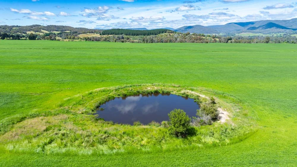 Additional image 11 of 1279 Edi-Cheshunt Road, Whitfield VIC 3733