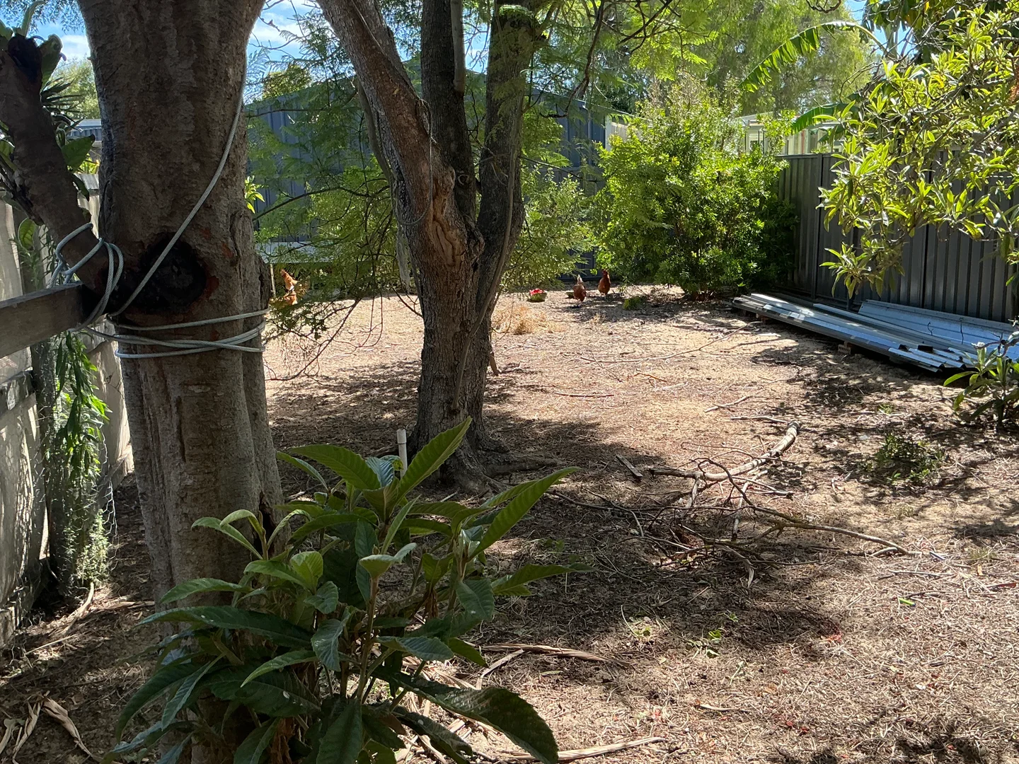 Additional image 17 of Broadwater WA 6280