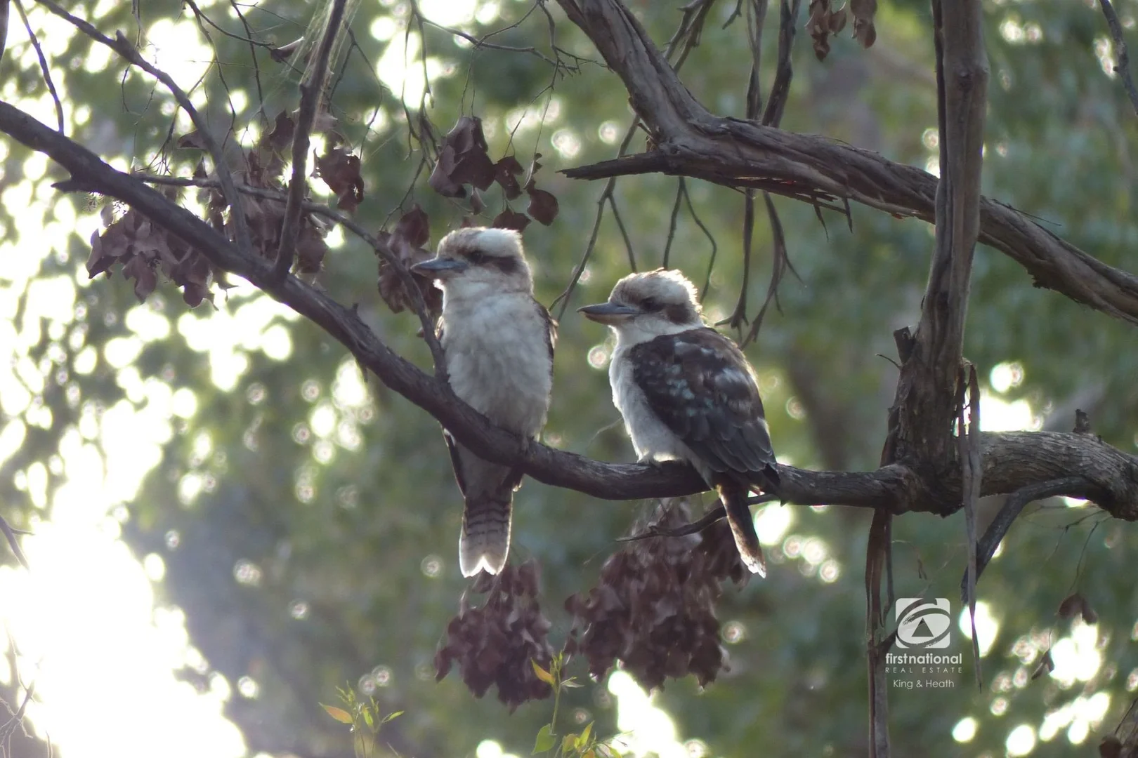 Additional image 25 of 148 Veldens Road, Toorloo Arm VIC 3909