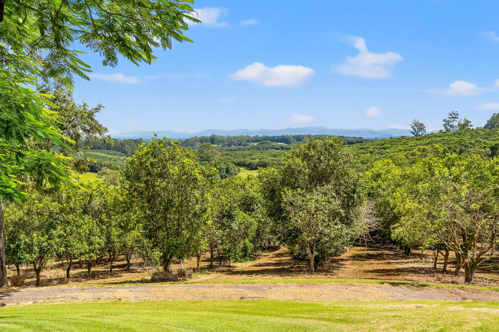 Additional image 31 of 475 Pearces Creek Road, Alstonvale NSW 2477