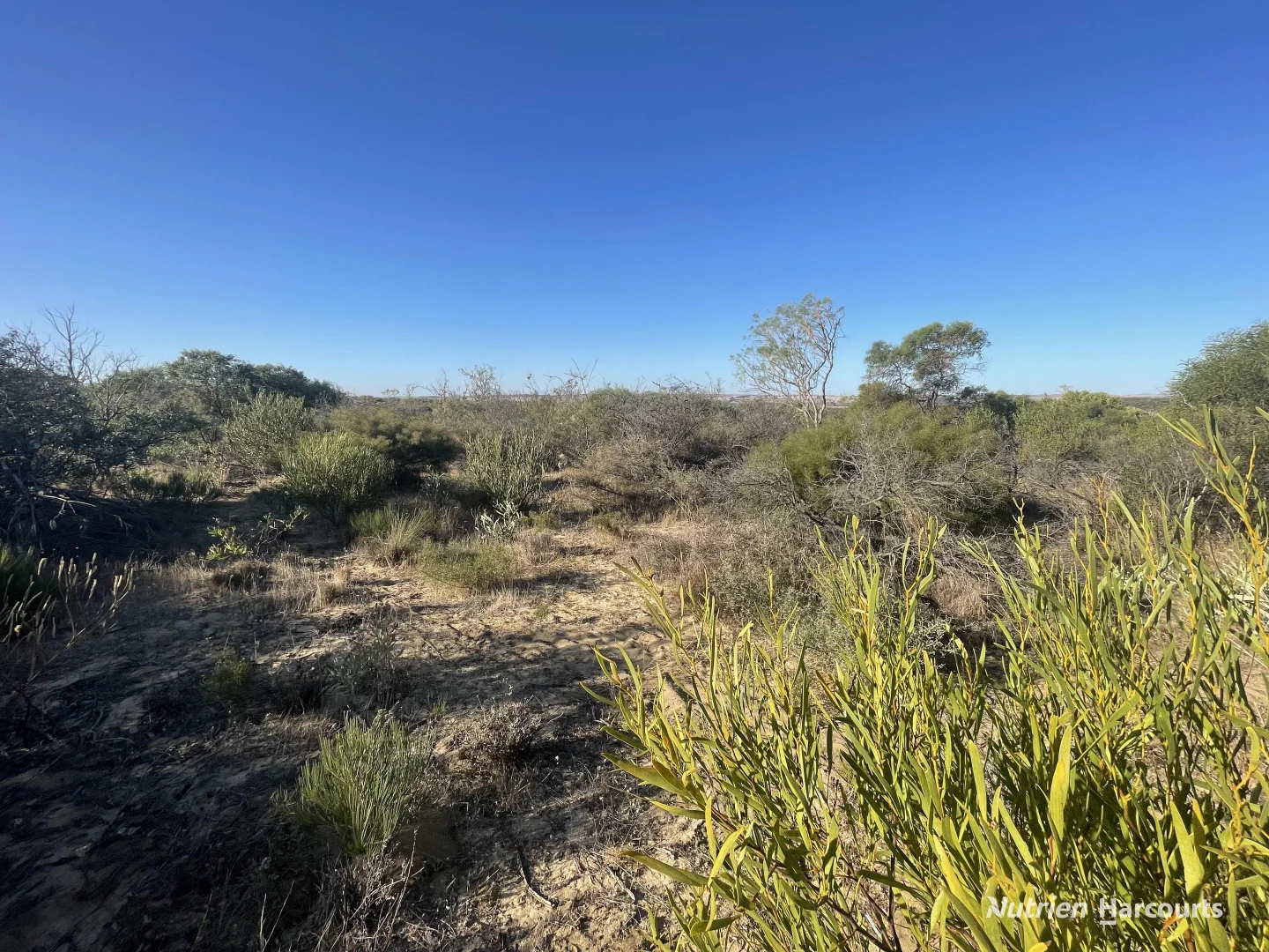 Additional image 6 of Lot 2691 Fraser Road, Walkaway WA 6528