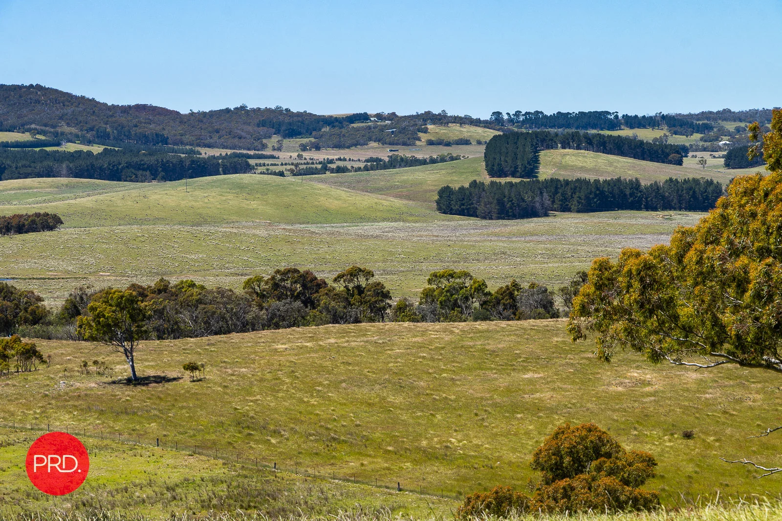 Additional image 16 of 2287 Bungendore Road, Tarago NSW 2580