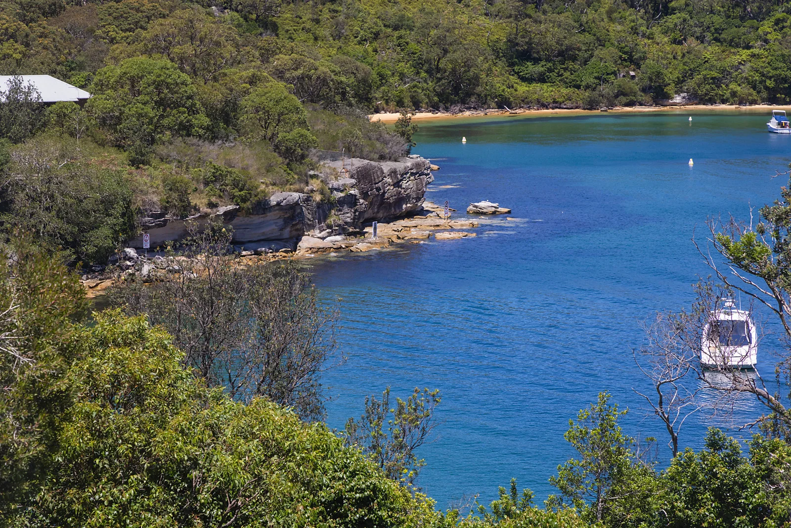 Additional image 6 of 24 Spring Cove Avenue, Manly NSW 2095