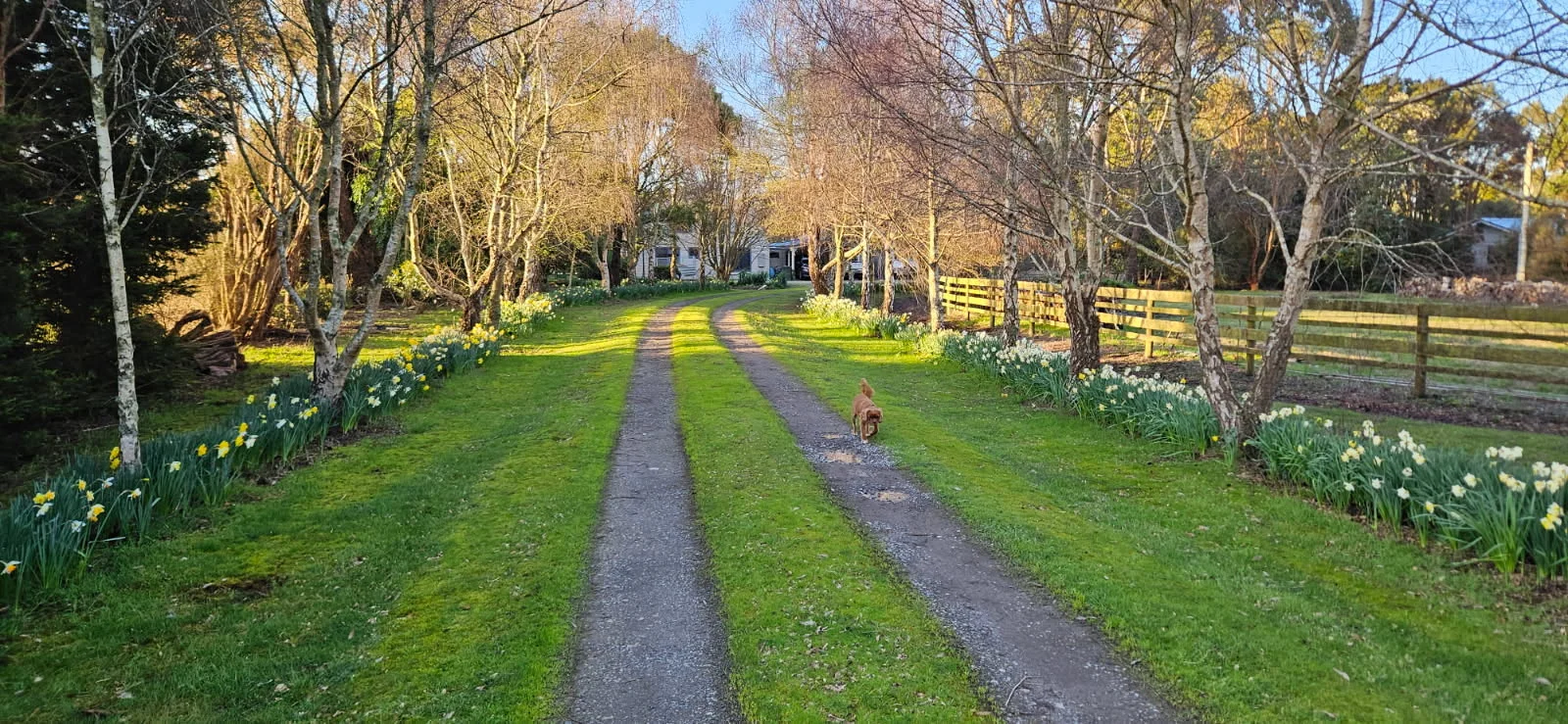 Additional image 4 of 356 montagu road, Smithton TAS 7330