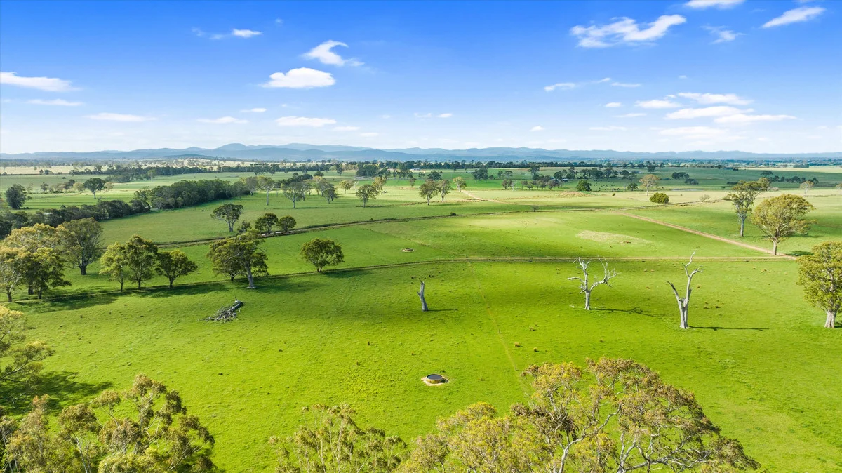 Additional image 20 of 335 Riverview Road, Heyfield VIC 3858