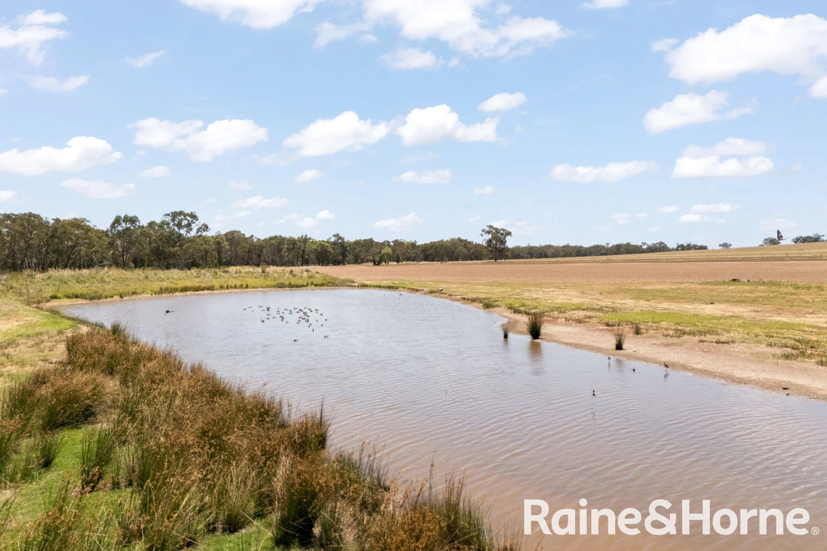 Additional image 21 of 35 Beryl Road, Gulgong NSW 2852