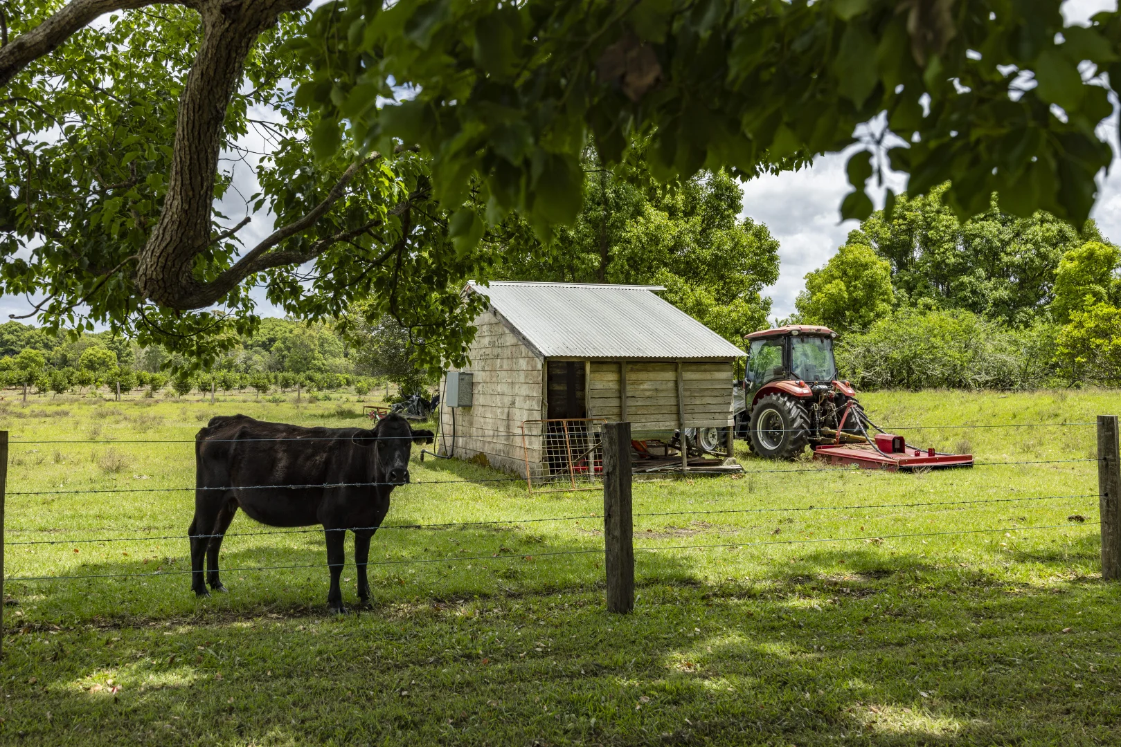 Additional image 20 of 218 Broadwater Road, Dungarubba NSW 2480