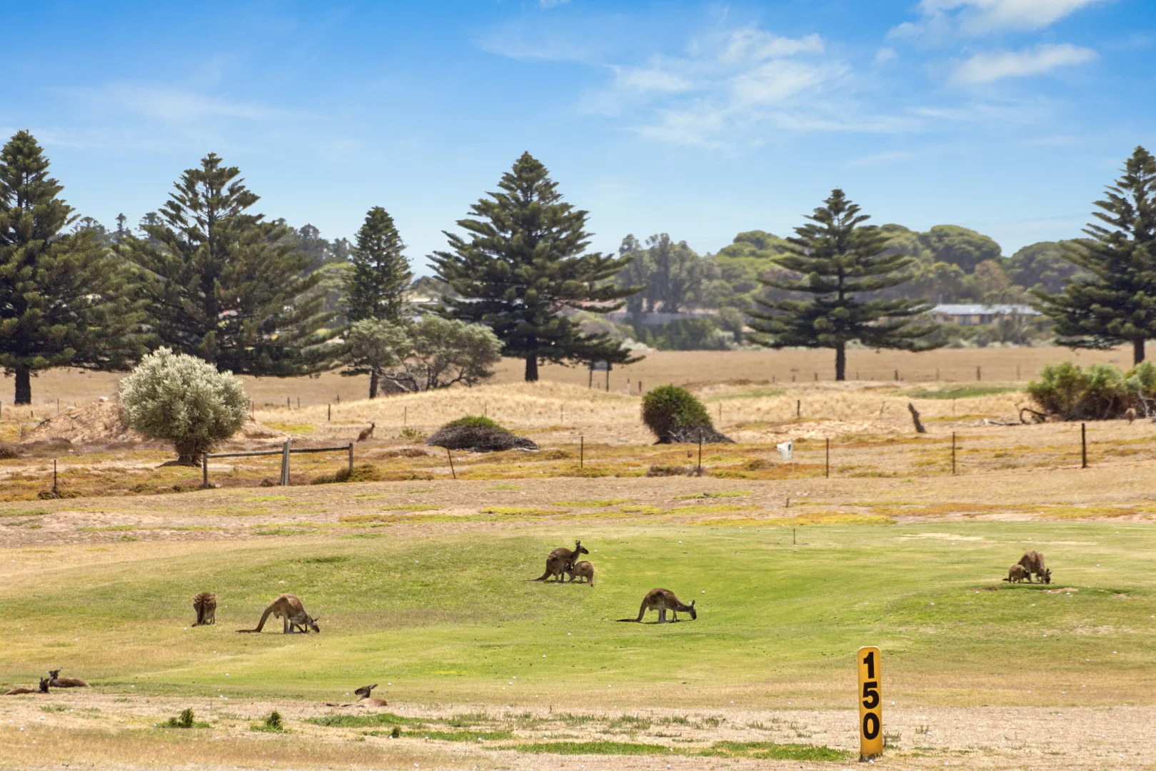 Additional image 16 of 32 St Andrews Boulevard, Normanville SA 5204