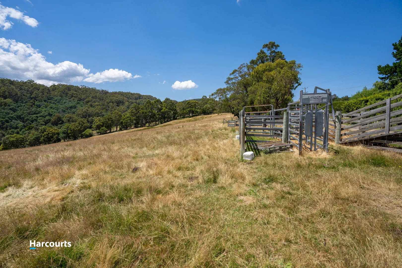 Additional image 9 of Lot 1 & 2 Graces Road, Glaziers Bay TAS 7109