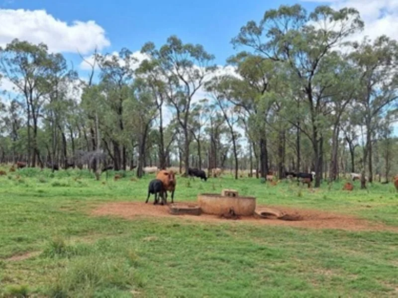 Additional image 23 of 6743 Dunrobin Road, Jericho QLD 4728
