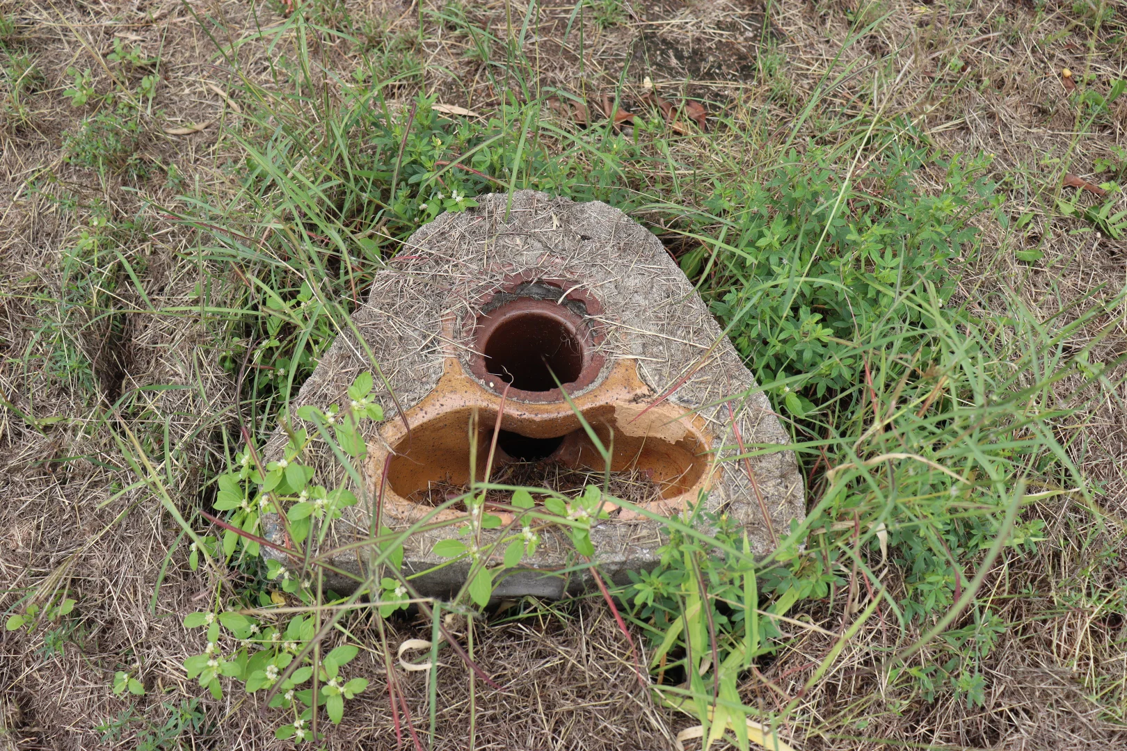 Additional image 7 of 48 Sonoma St, Collinsville QLD 4804