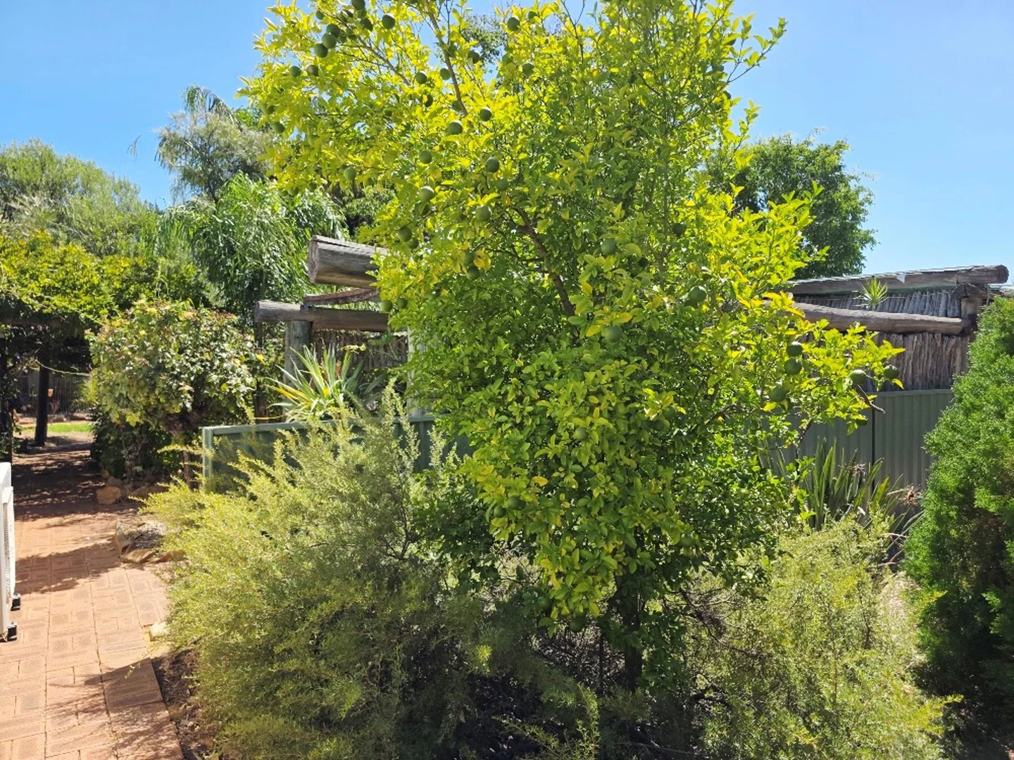 Additional image 27 of 24 SALEEBA Road, Moora WA 6510