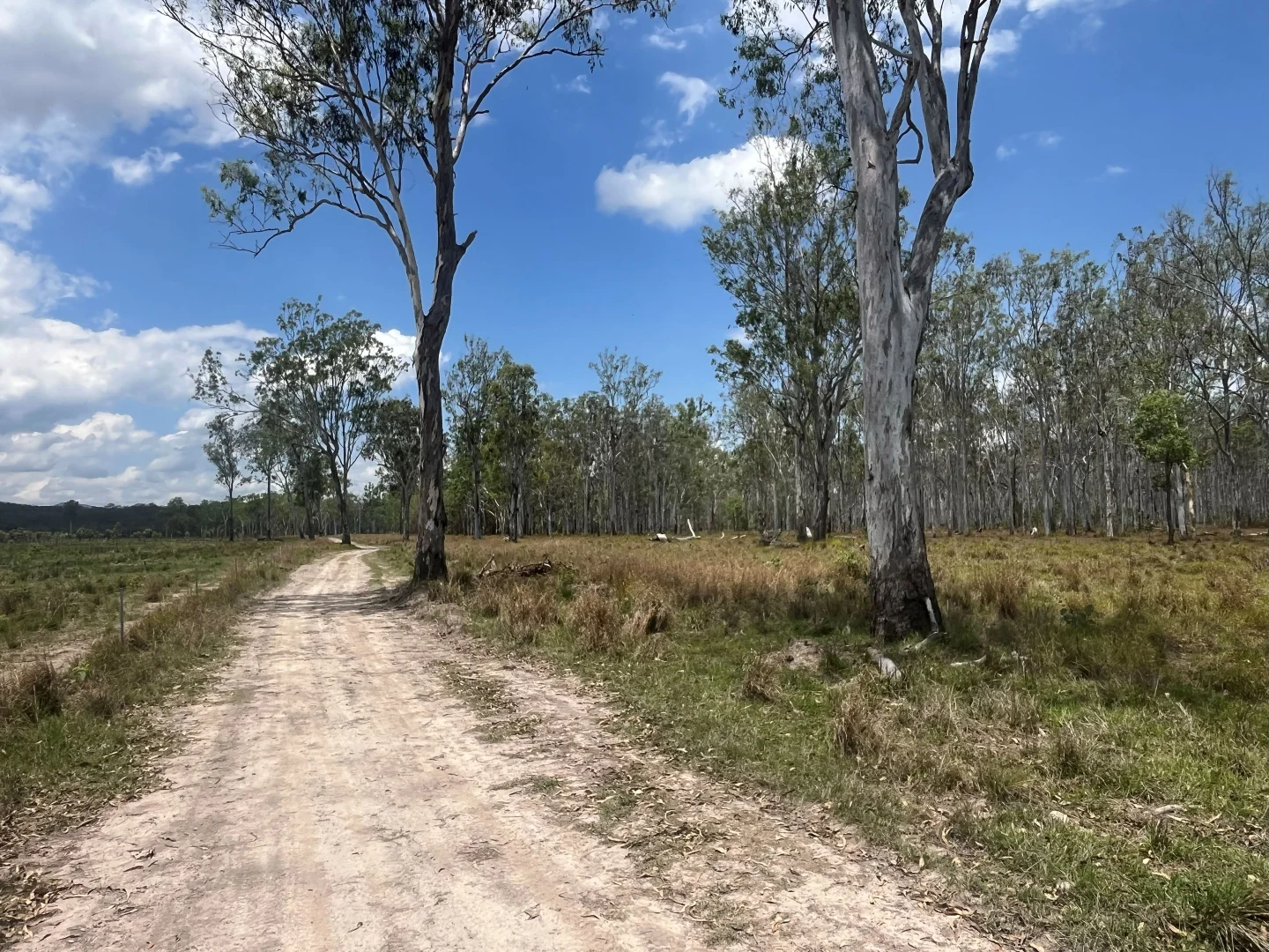 Additional image 51 of Blunder Park Station 382 Blunder Park Road, Ravenshoe QLD 4888
