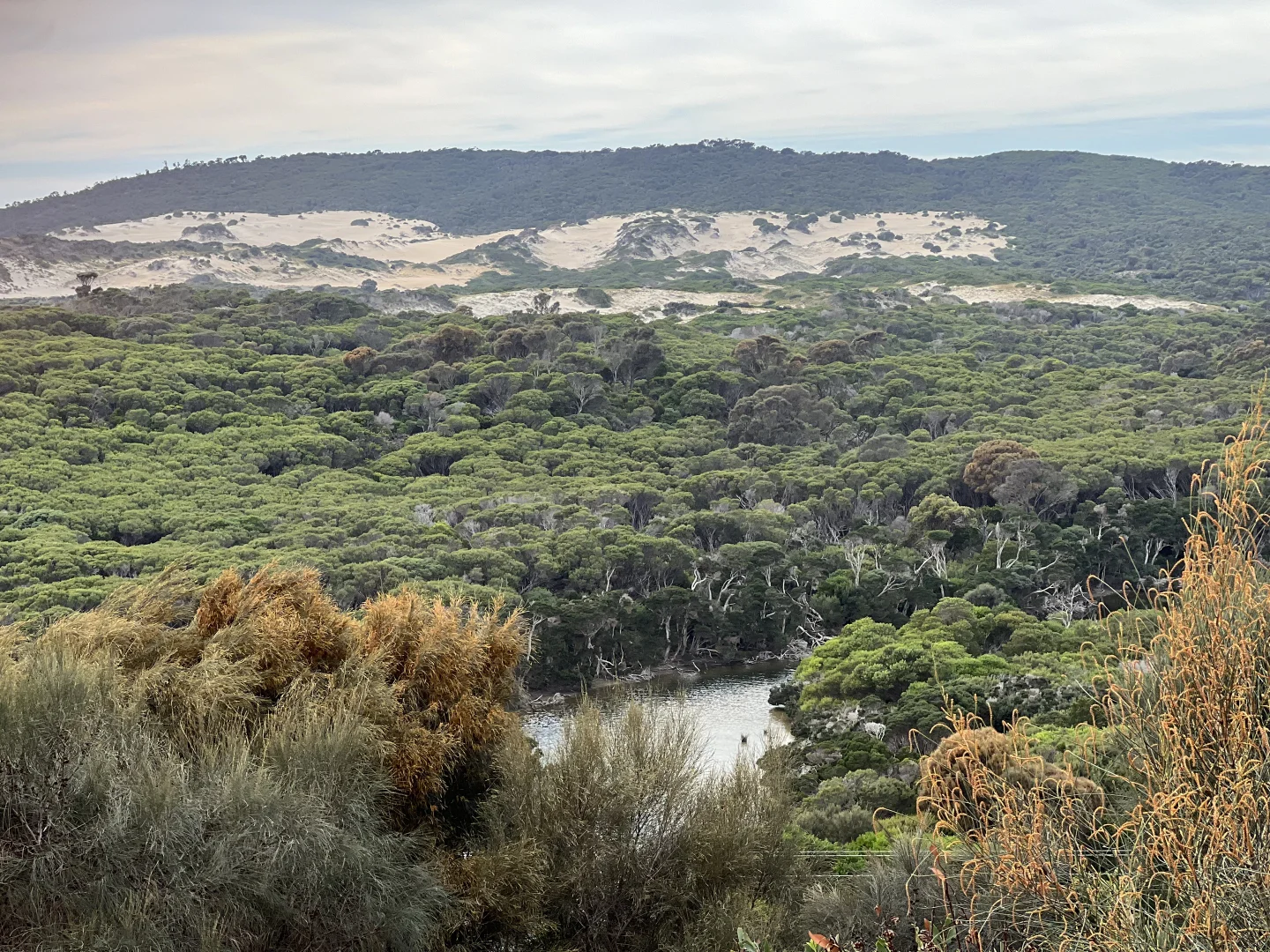 Additional image 15 of . Palana Road, Palana TAS 7255