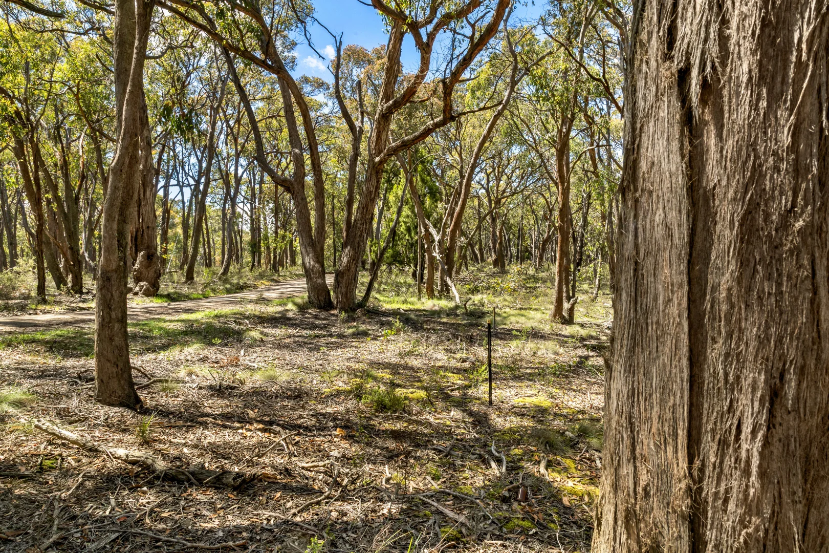 Additional image 2 of Lot 12 Rowlers Road, Snake Valley VIC 3351