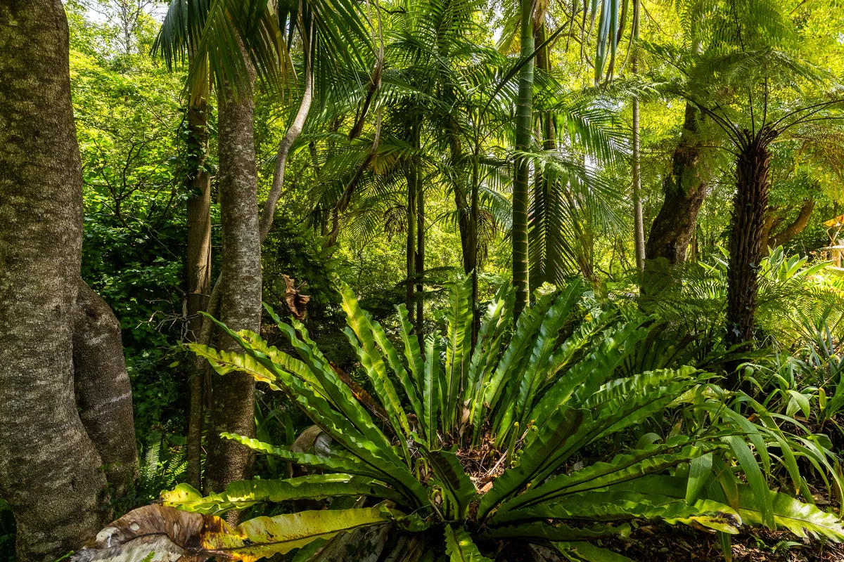 Additional image 17 of 3/3 Kyeamba Street, Merimbula NSW 2548