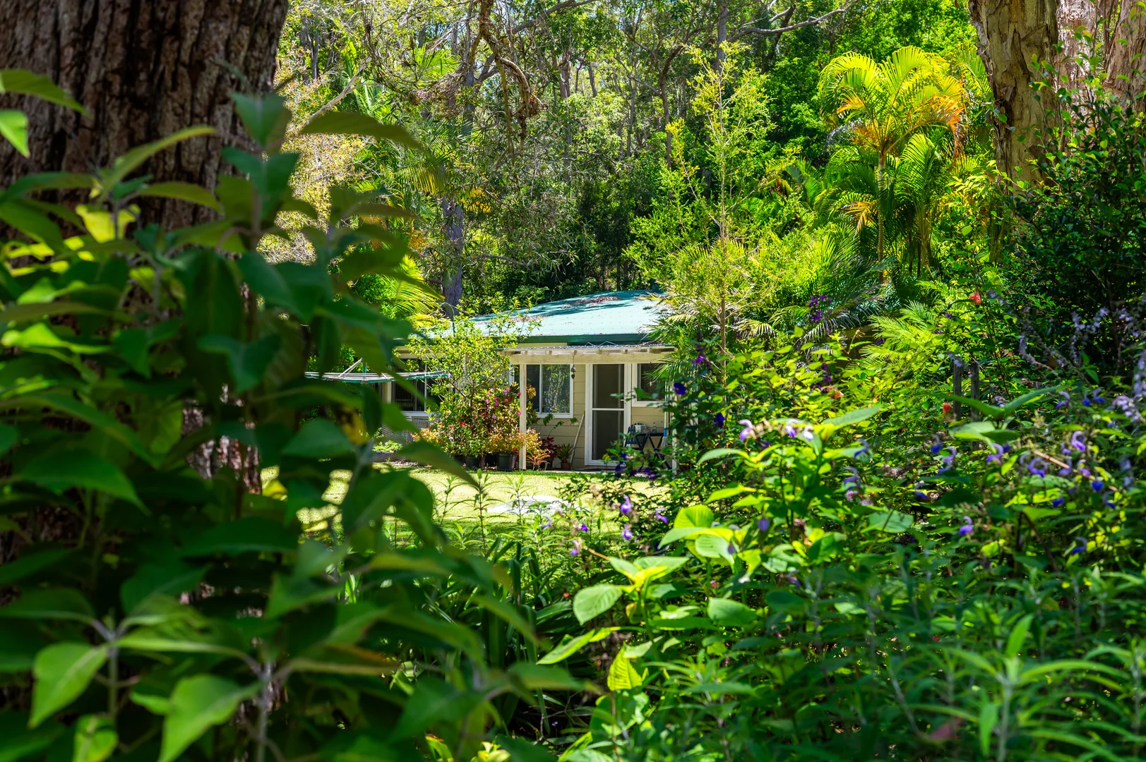 Additional image 8 of 2536 Solitary Islands Way, Arrawarra NSW 2456