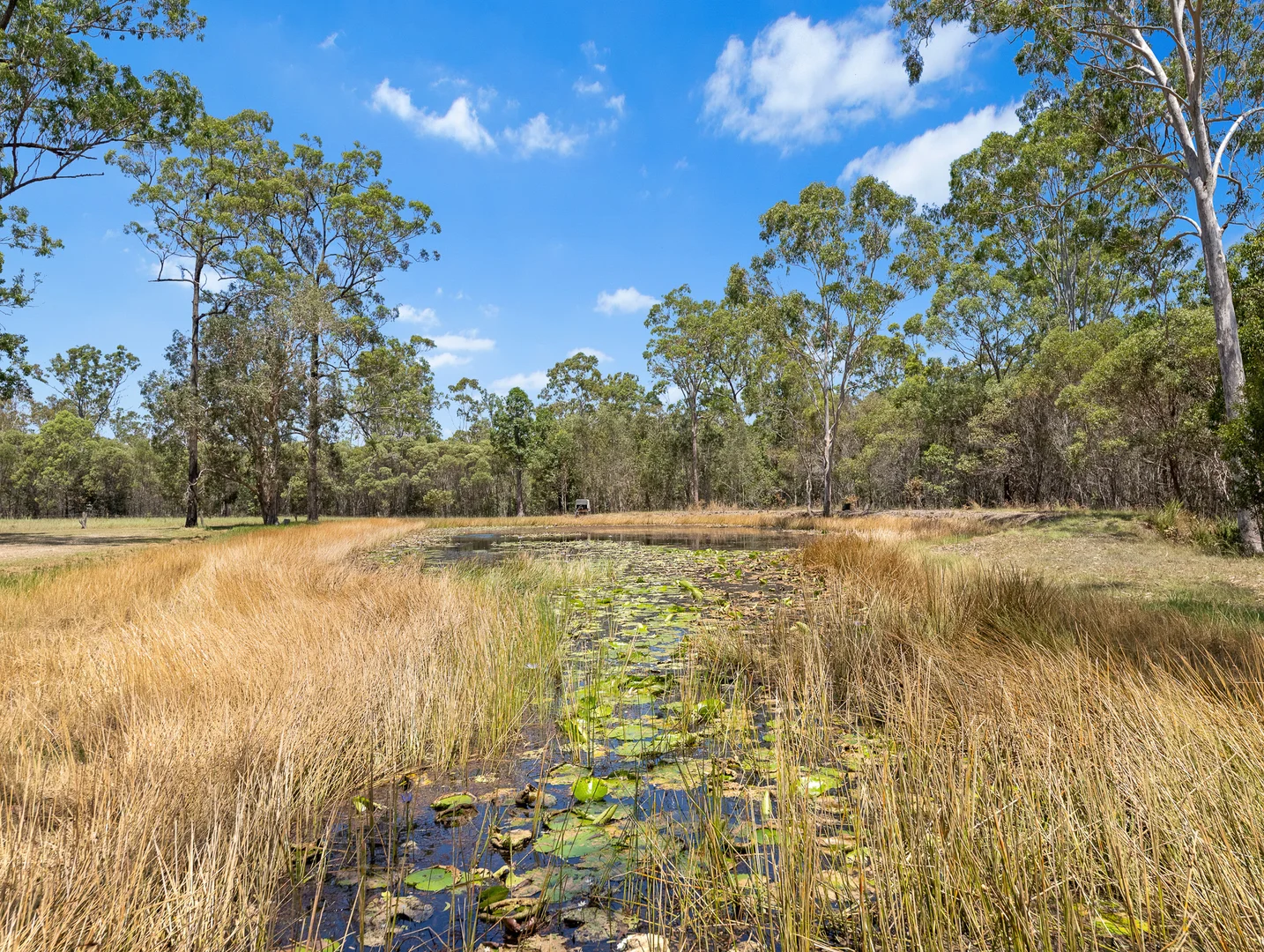 Additional image 30 of 200 Parke Avenue, Sunshine Acres QLD 4655
