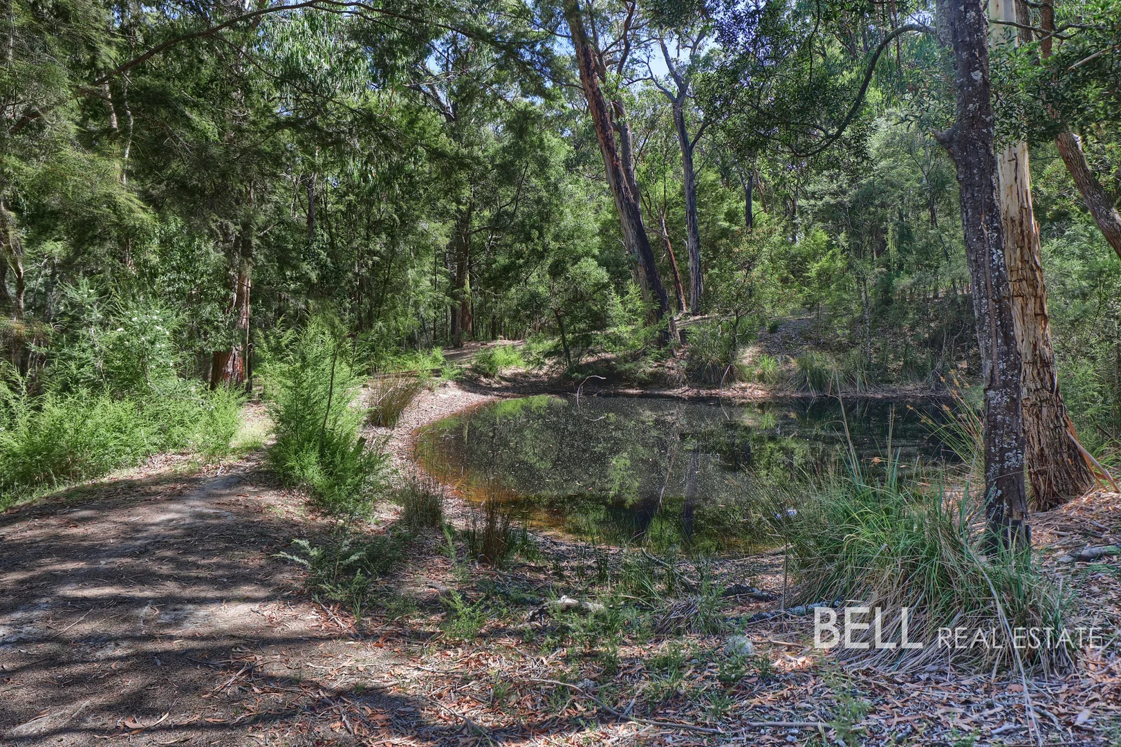 Additional image 21 of 17 Oxford Downs Road, Macclesfield VIC 3782