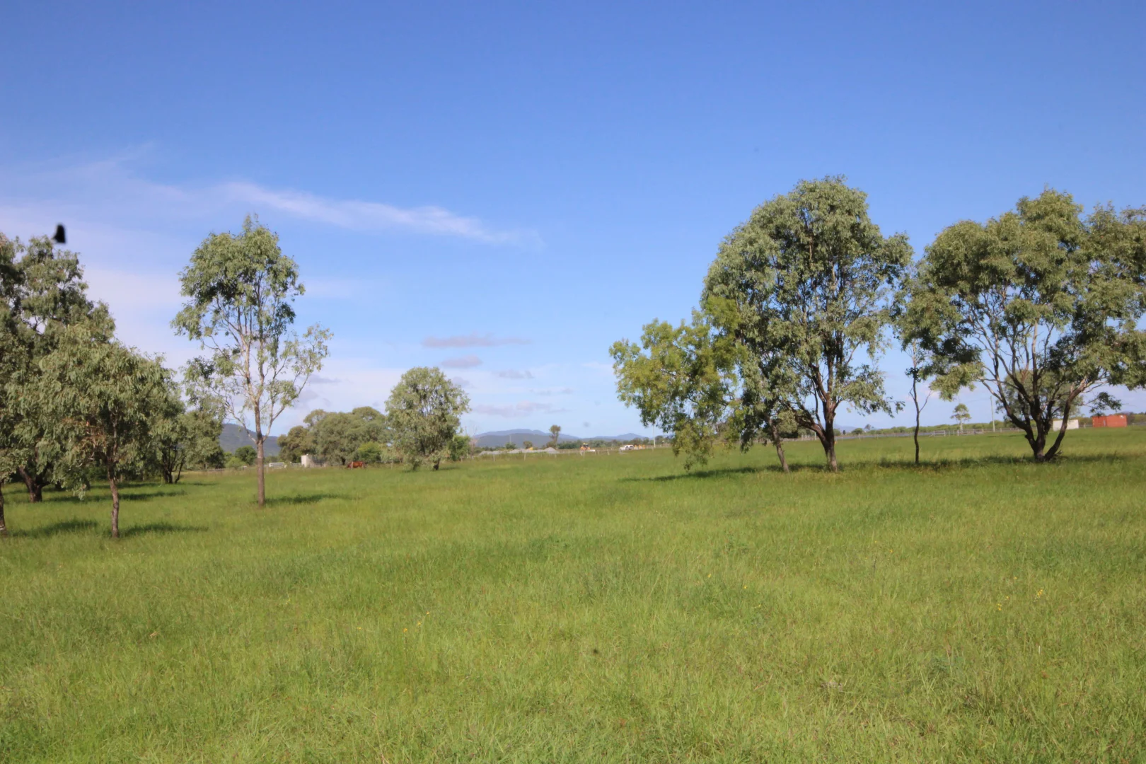 Additional image 15 of 366 GEORGE STREET, Depot Hill QLD 4700