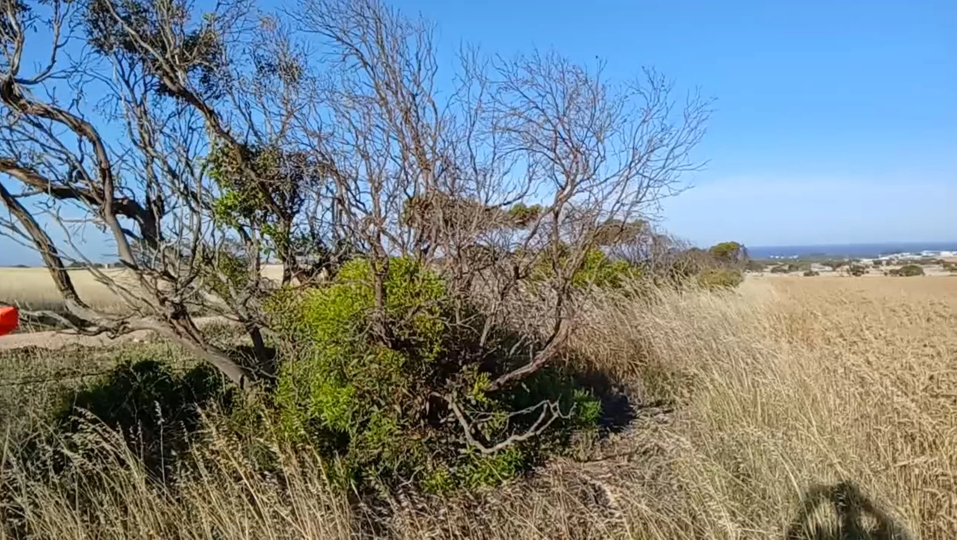 Additional image 17 of 107 Chalmers Road, Port Neill SA 5604