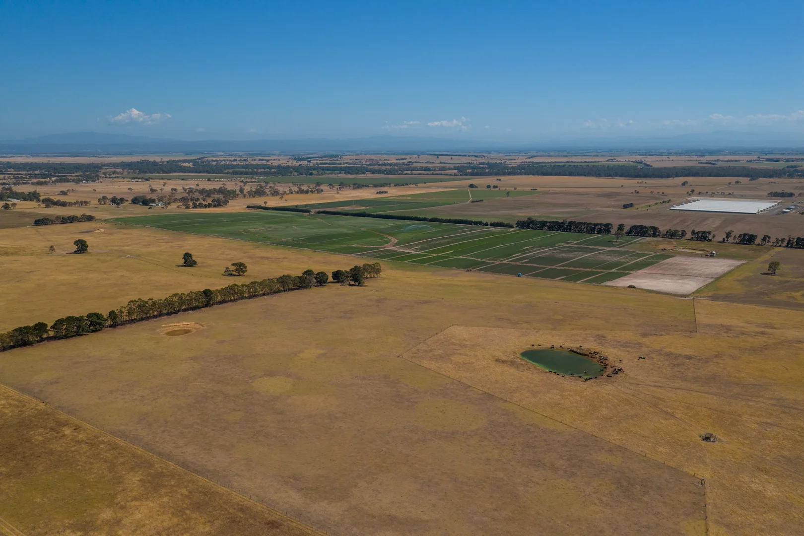 Additional image 5 of 494 Rosedale-Longford Road, Rosedale VIC 3847