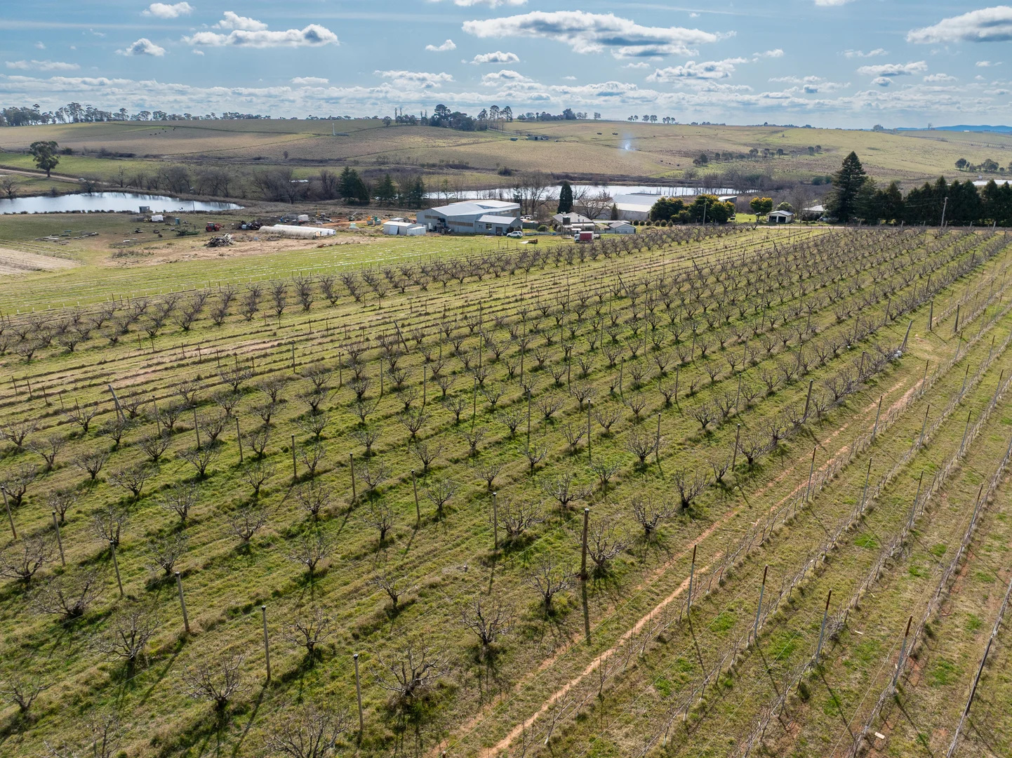 Additional image 15 of 96 Akhurst Road, Orange NSW 2800