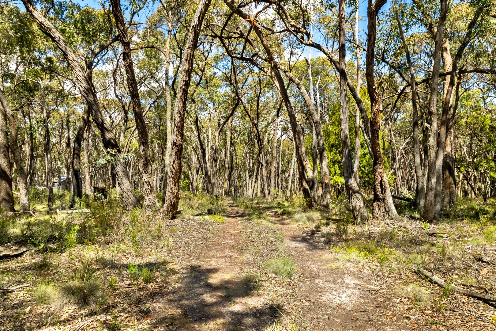 Additional image 6 of Lot 12 Rowlers Road, Snake Valley VIC 3351