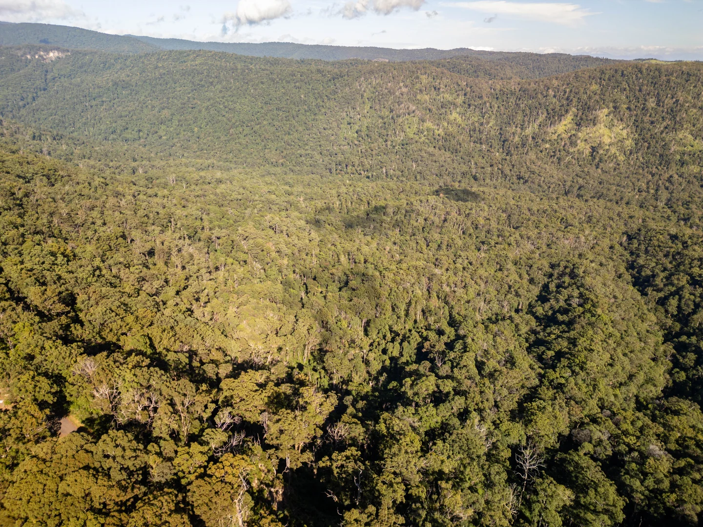 Additional image 8 of 618 Binna Burra Road, Beechmont QLD 4211