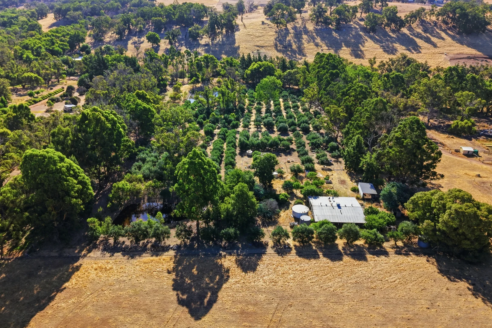 Additional image 9 of 55 Waters Ford Road, Winnejup WA 6255