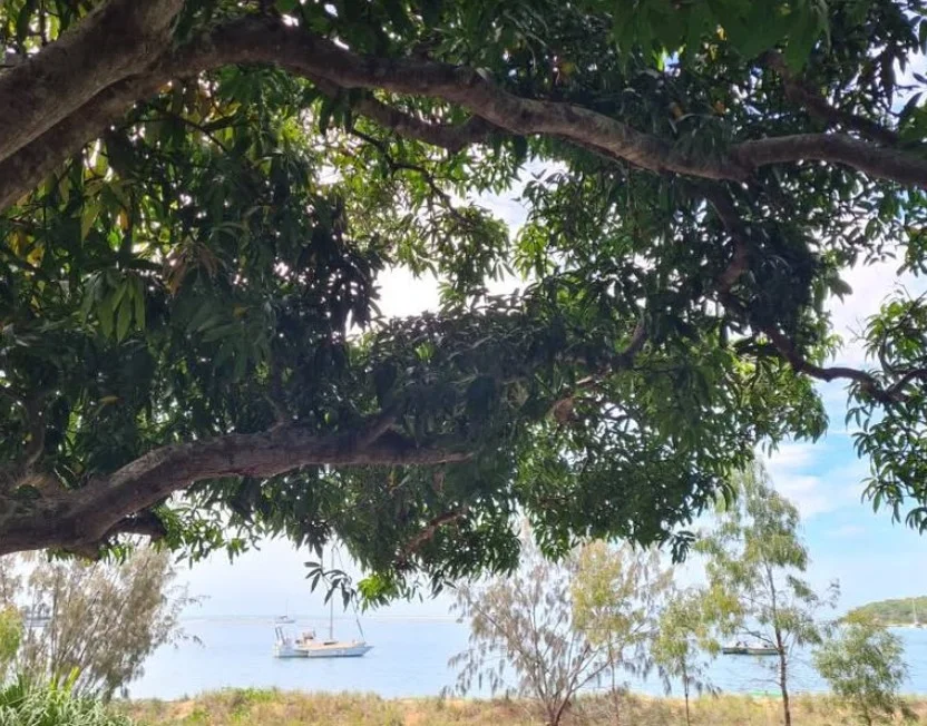 Additional image 13 of 136 Oyster Creek Road, Oyster Creek QLD 4674