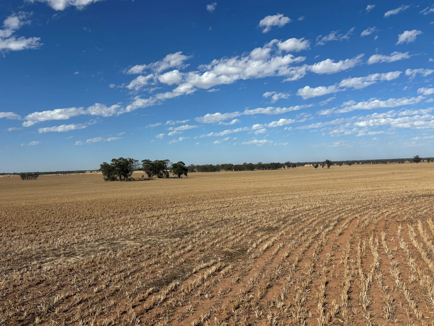 Additional image 9 of 00 Cnr Collins Road & Marktree Rd, Corop VIC 3559