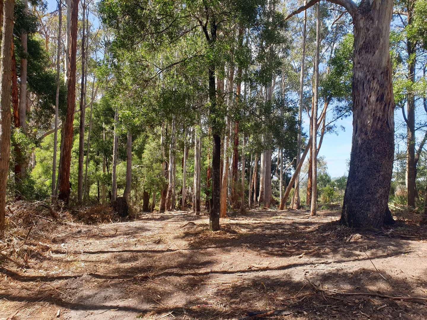 Additional image 2 of 33 Holmes Road, Ellendale TAS 7140