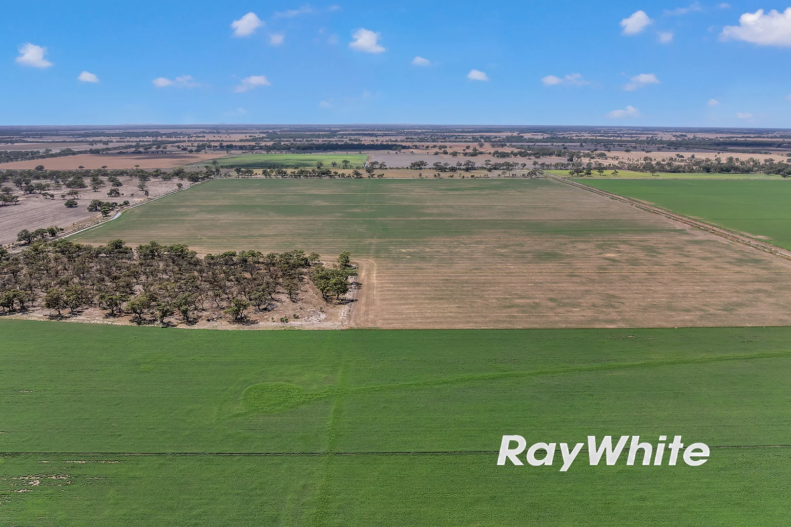 Additional image 7 of 79 Boort-Yando Road, Boort VIC 3537