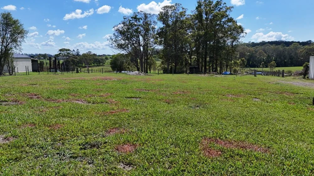 Additional image 10 of Lot 101 Lika Drive, Euroka NSW 2440