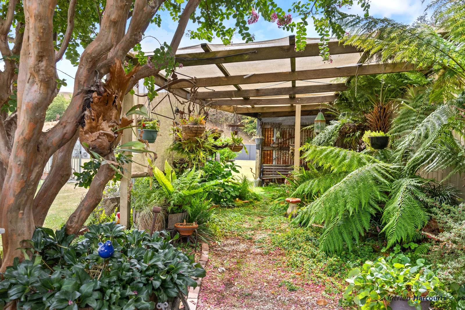 Additional image 12 of 25 Peterkin Street, Alexandra VIC 3714