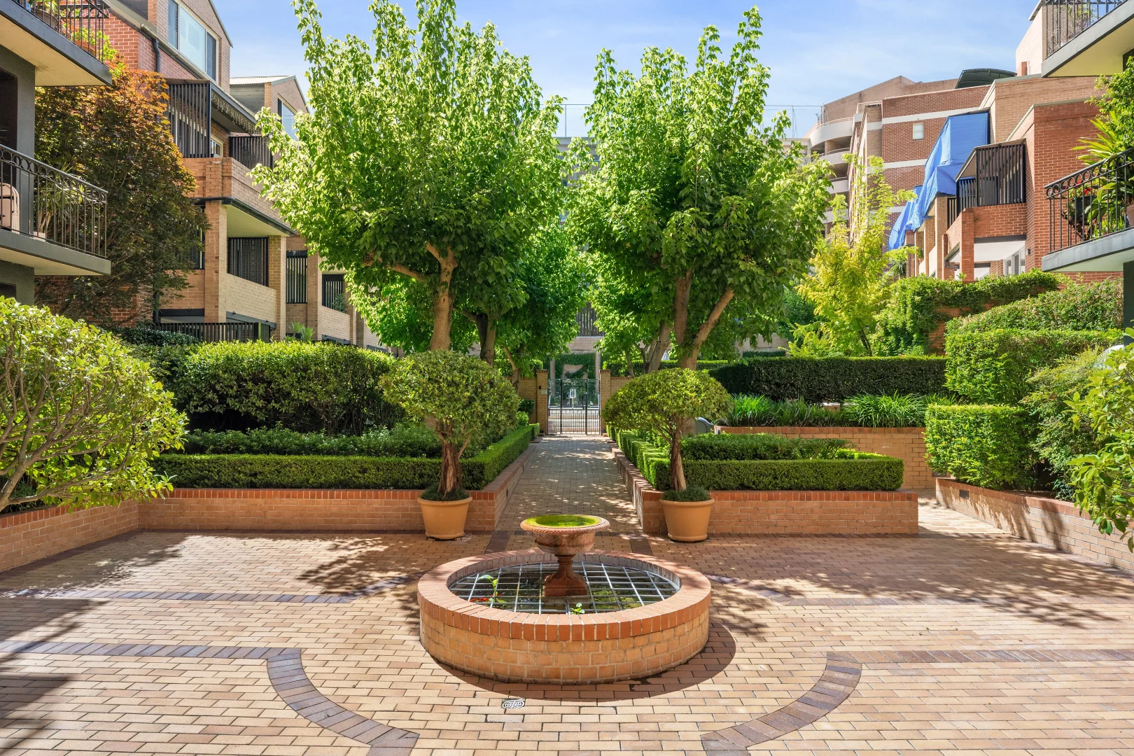 Additional image 14 of 6/127 Albion Street, Surry Hills NSW 2010