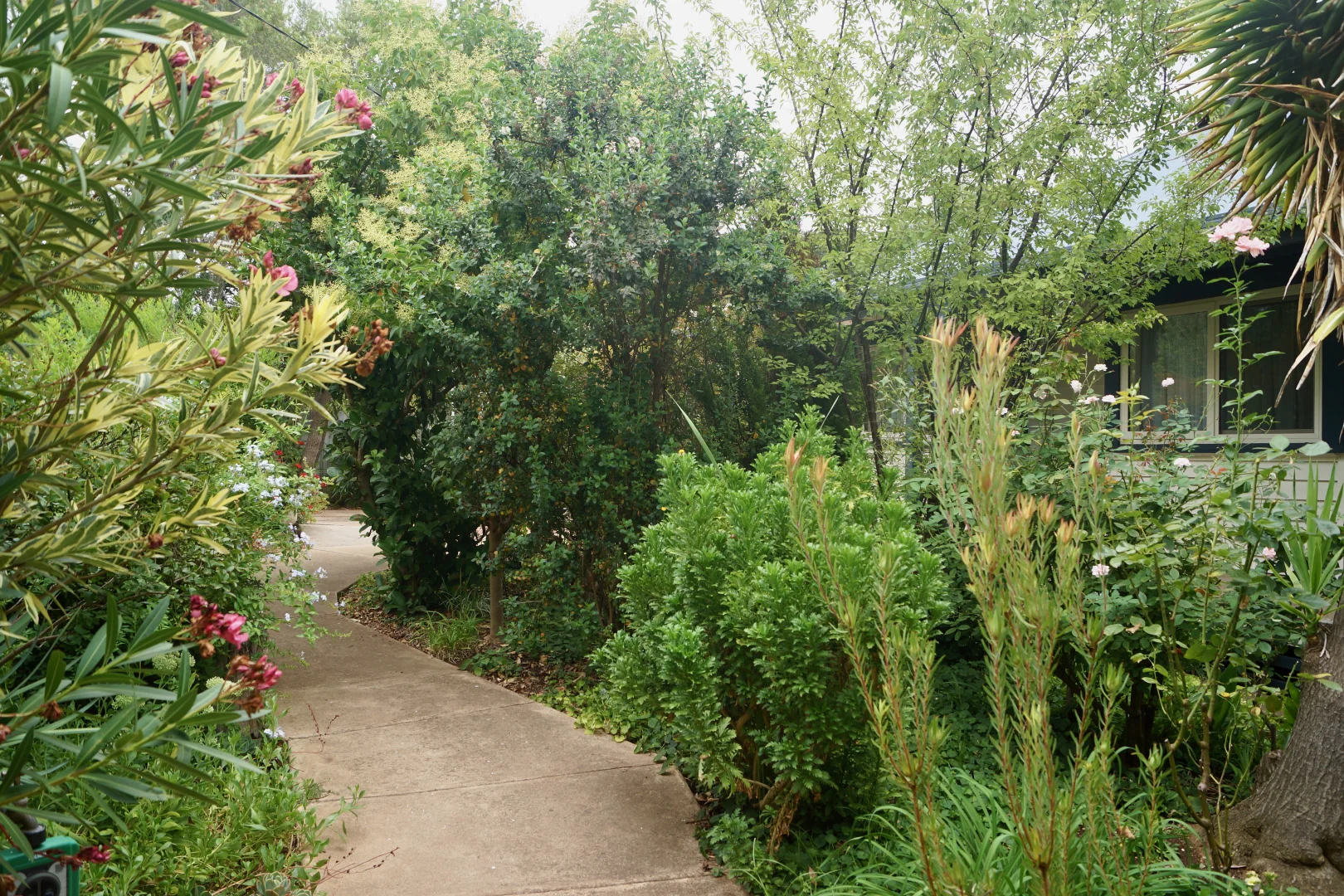 Additional image 34 of 6 Reef Street, Wedderburn VIC 3518