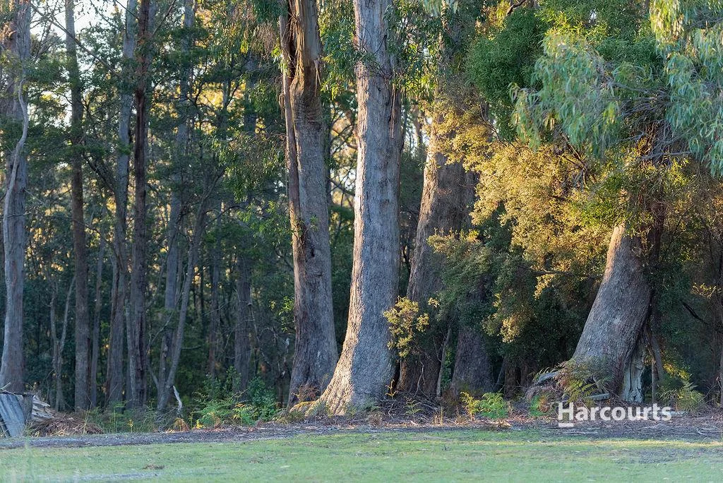 Additional image 34 of 191 Sisters Beach Road, Boat Harbour TAS 7321
