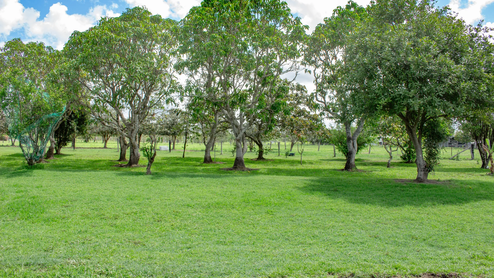 Additional image 25 of 290 Bells Road, Palmyra QLD 4751